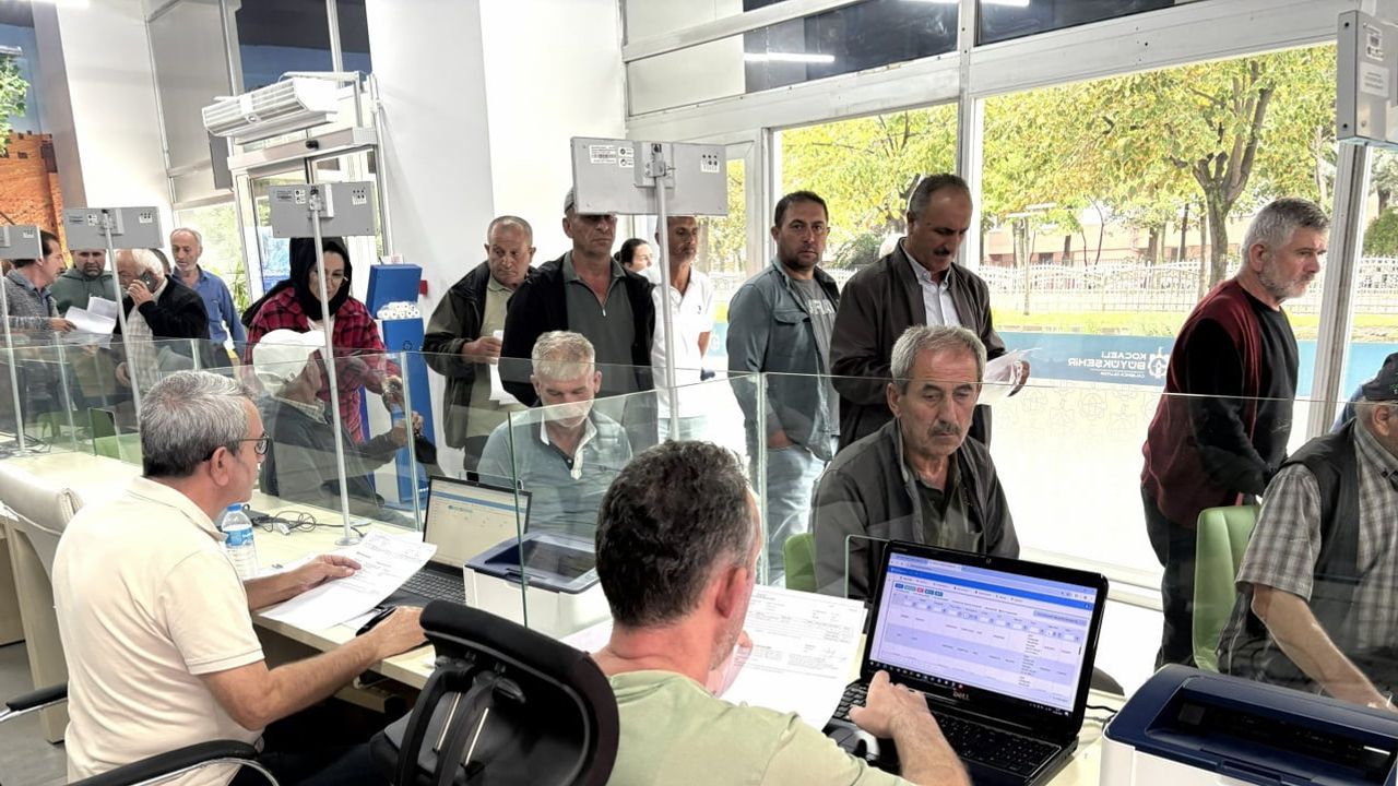 Kocaeli'de üretimi güçlendirmeye yönelik yüzde 50 hibeli yem tohumu programı sürüyor