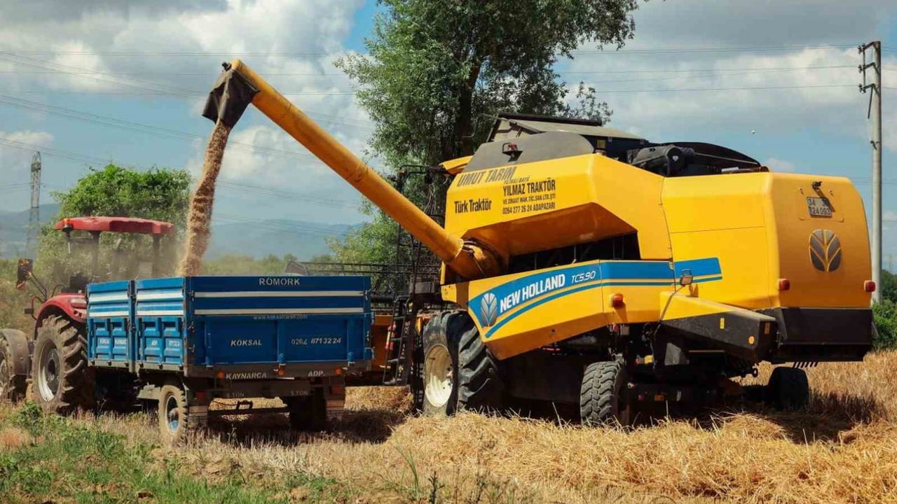 Kocaeli’de yem bitkisi tohumuna yüzde 50 hibe verilecek