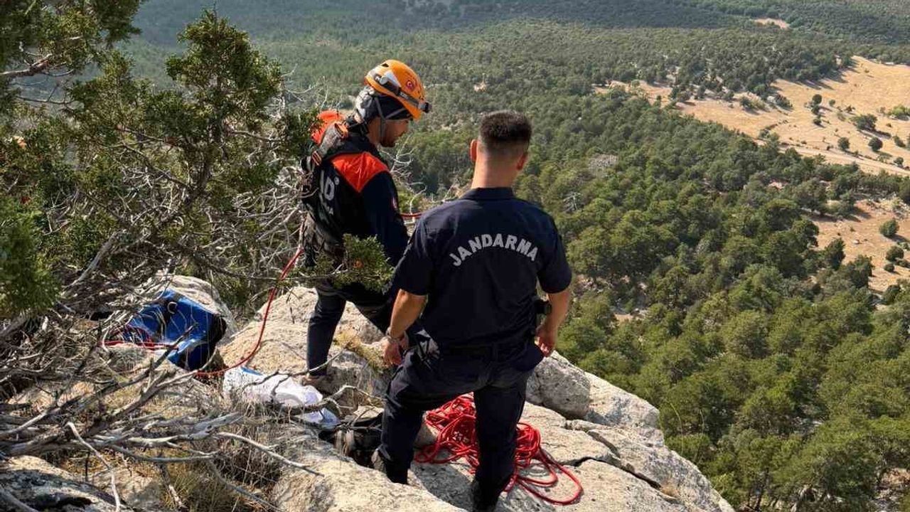 Koçaş Dağı'nda mahsur kalan altı küçükbaş AFAD ekiplerince kurtarıldı