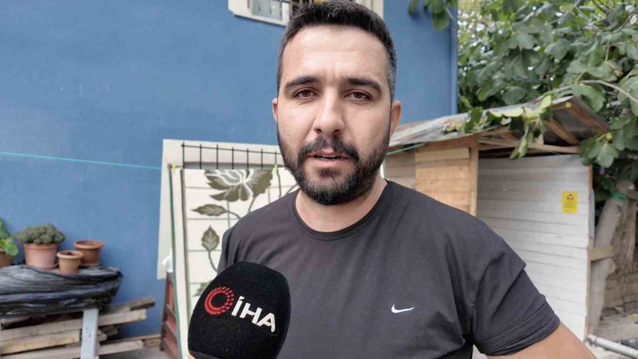 Komşular bahçedeki saksı çiçeğinin kaybına şaşırdı: güvenlik kamerası olayı kaydetti