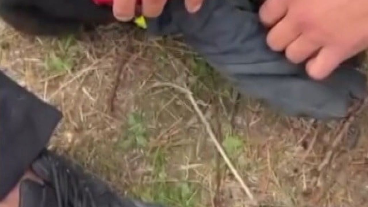 Konserve kutusuna sıkışan kedi itfaiyenin çalışmasıyla kurtarıldı