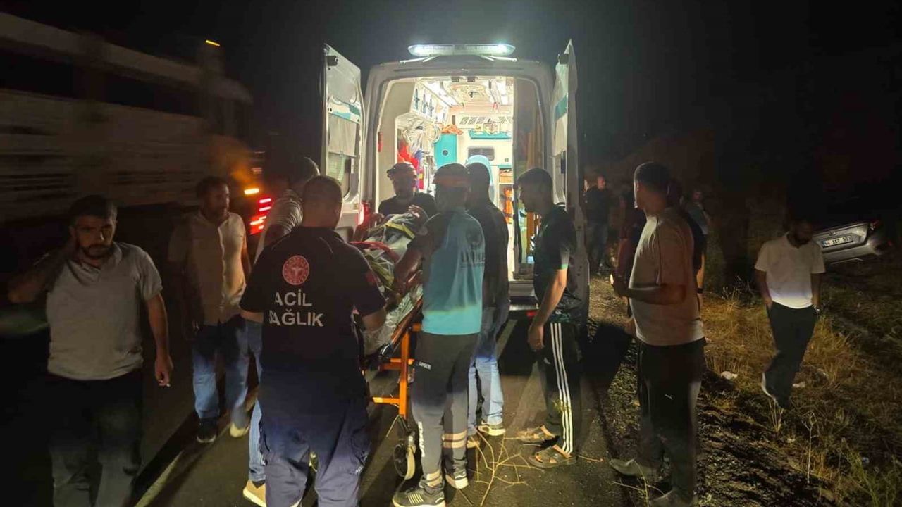 Kontrolü kaybeden sürücünün otomobili yoldan çıktı: Bingöl'de iki kişi yaralandı
