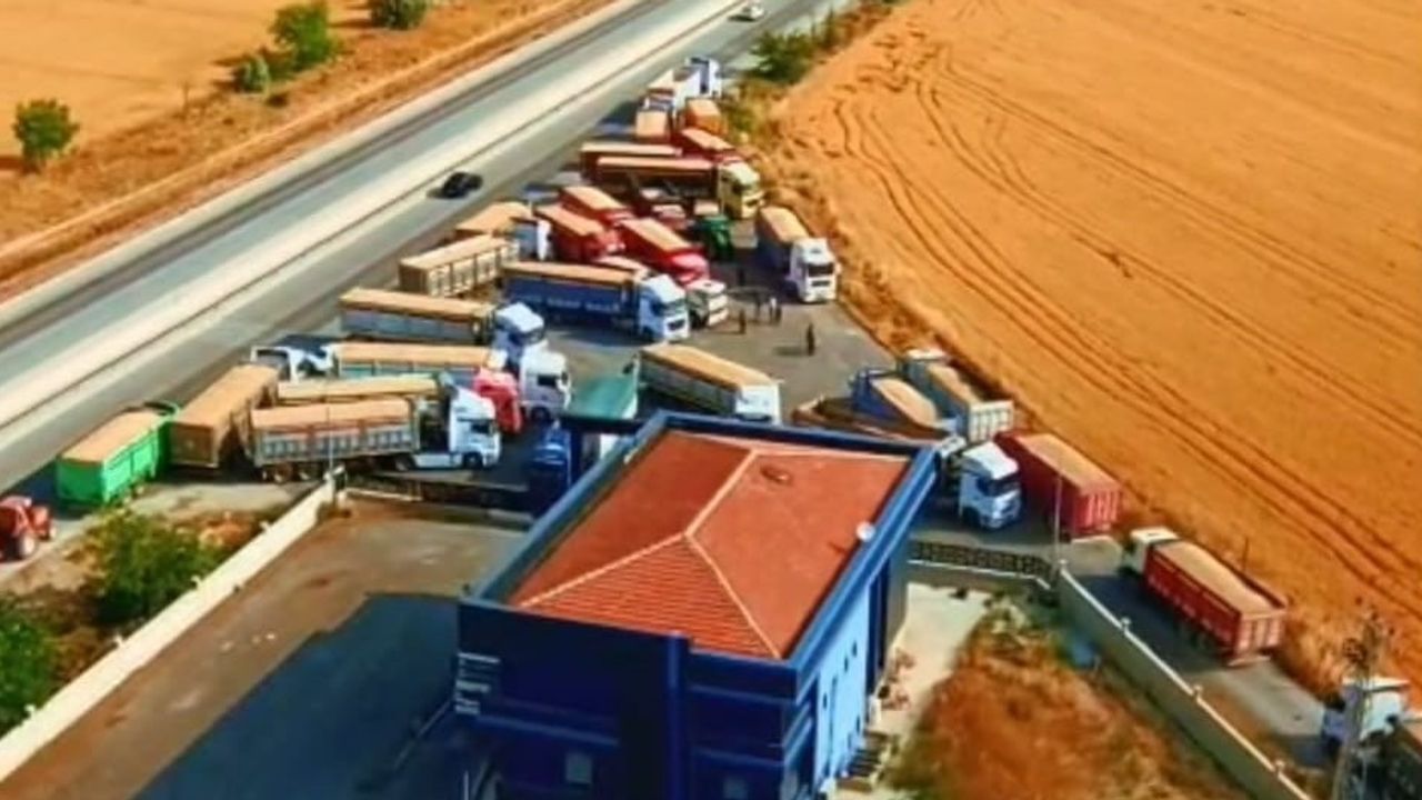 Konya'da hasat rekoru: TMO 92 noktada yaklaşık 2 milyon ton hububat aldı