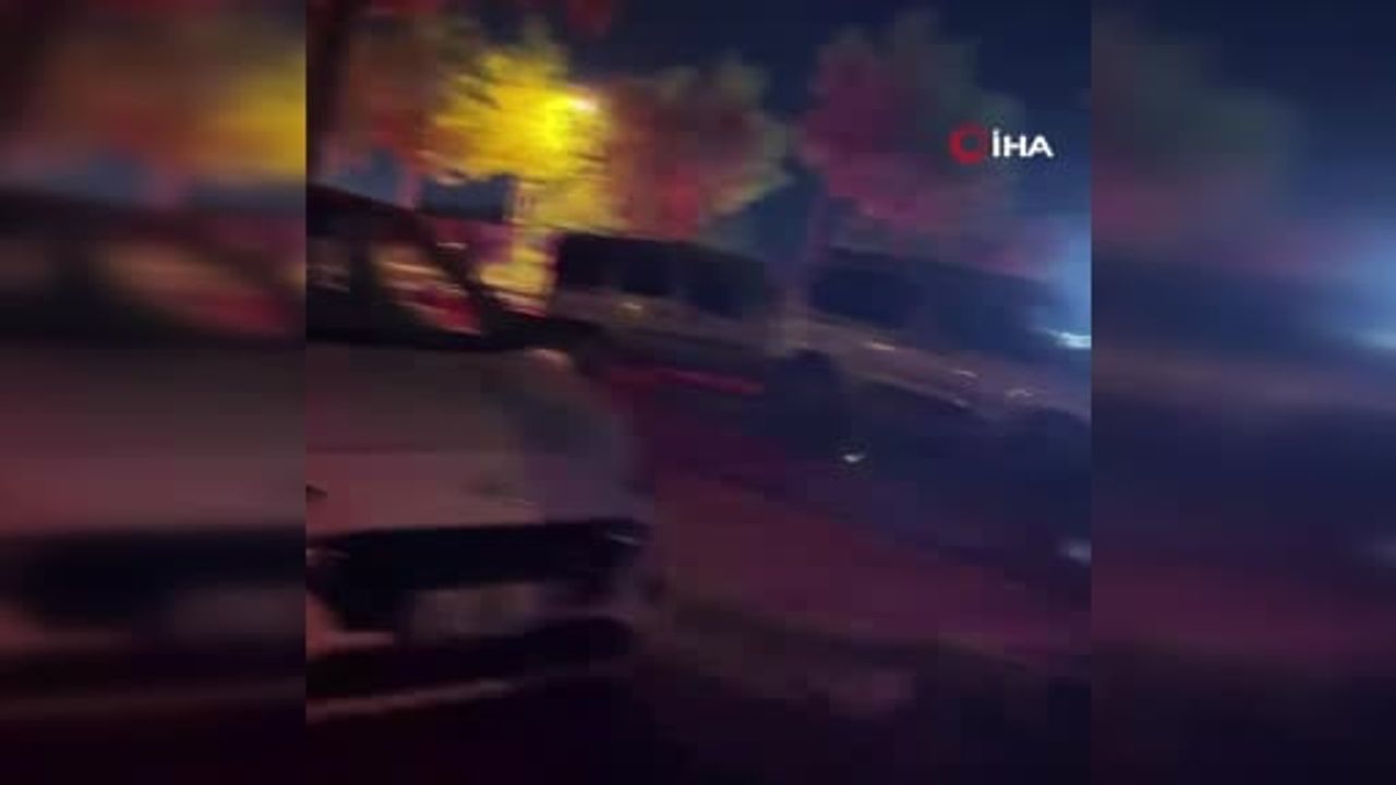 Köpeklerin yola çıkması beş araçlık zincirleme kazaya yol açtı