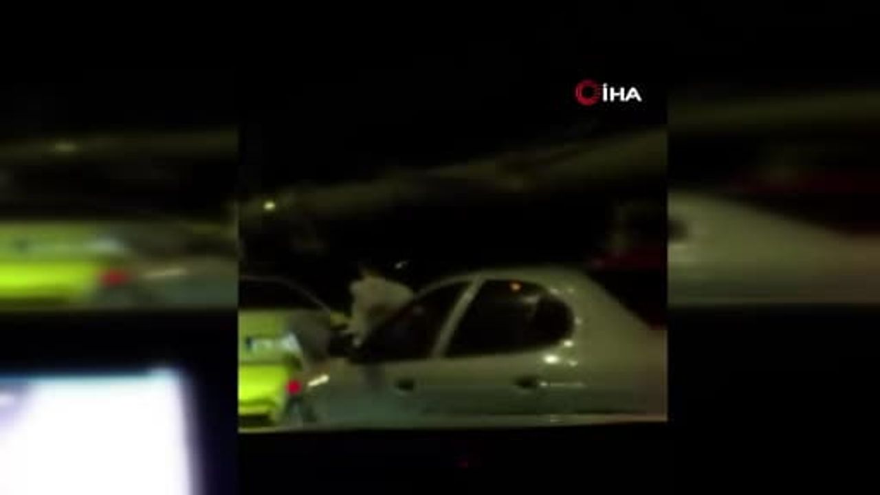 Köprüde tehlike anları: kaputa çıkan kişi öndeki aracı ayaklarıyla itti