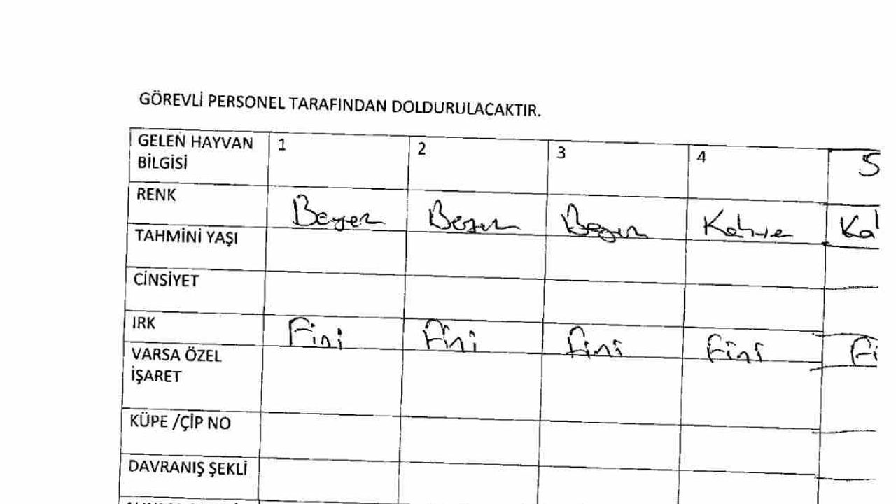 Köşk belediyesi iddiaları reddetti, teslim tutanaklarını paylaştı