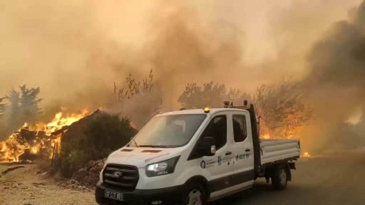 Köy halkı ve ekipler alevlerin ortasındaki koyunları kurtardı