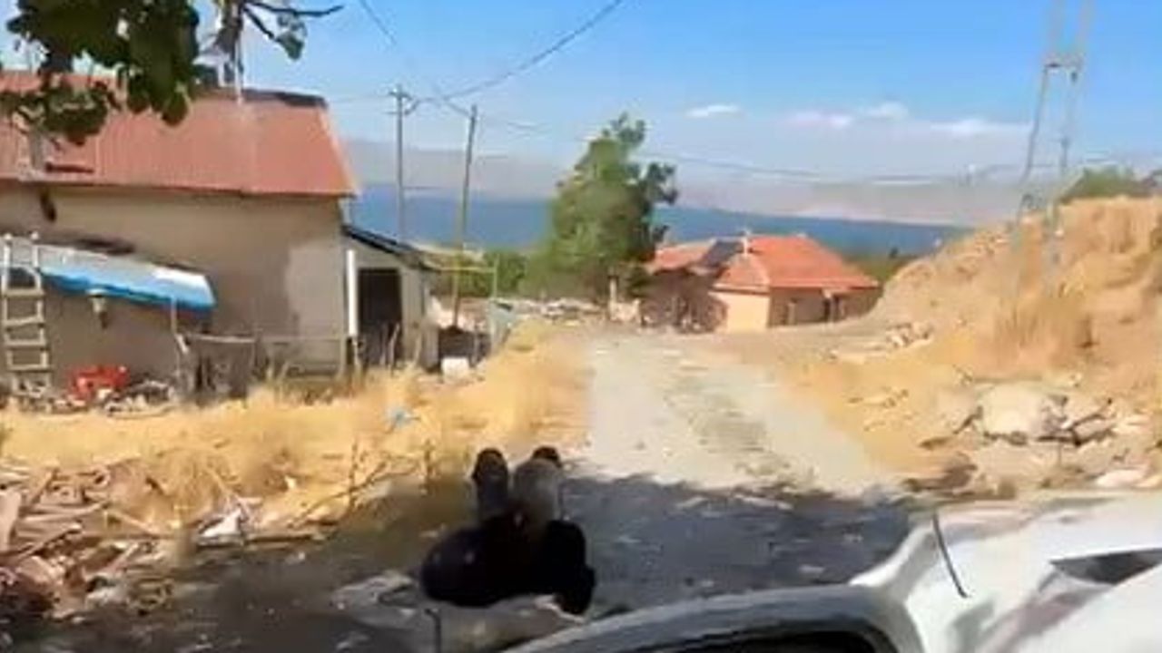 Köyde zincirle bağlanan yaşlı adamın görüntüsü kayıt altına alındı