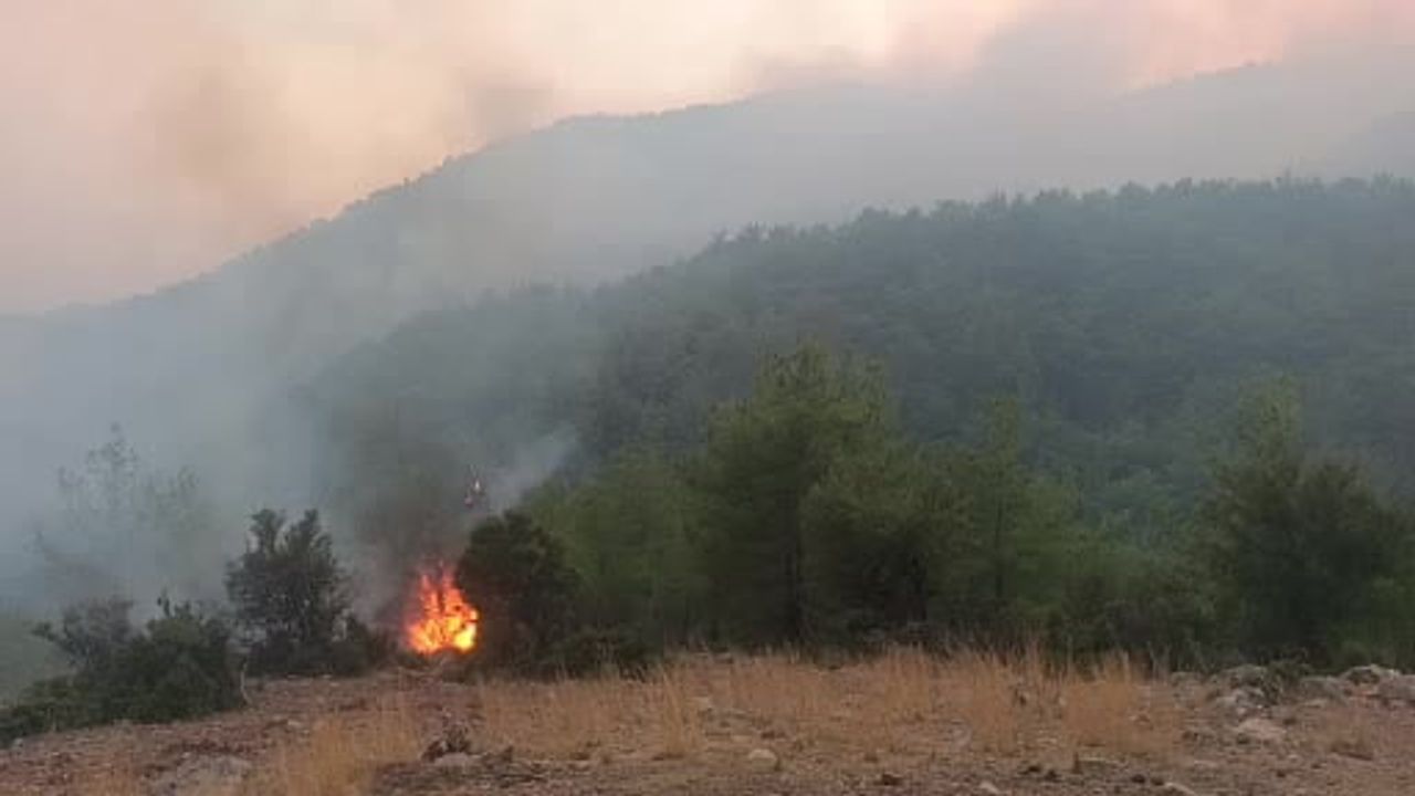 Kozan'da Enizçakırı'na yaklaşan alevler ekiplerin müdahalesiyle durduruldu