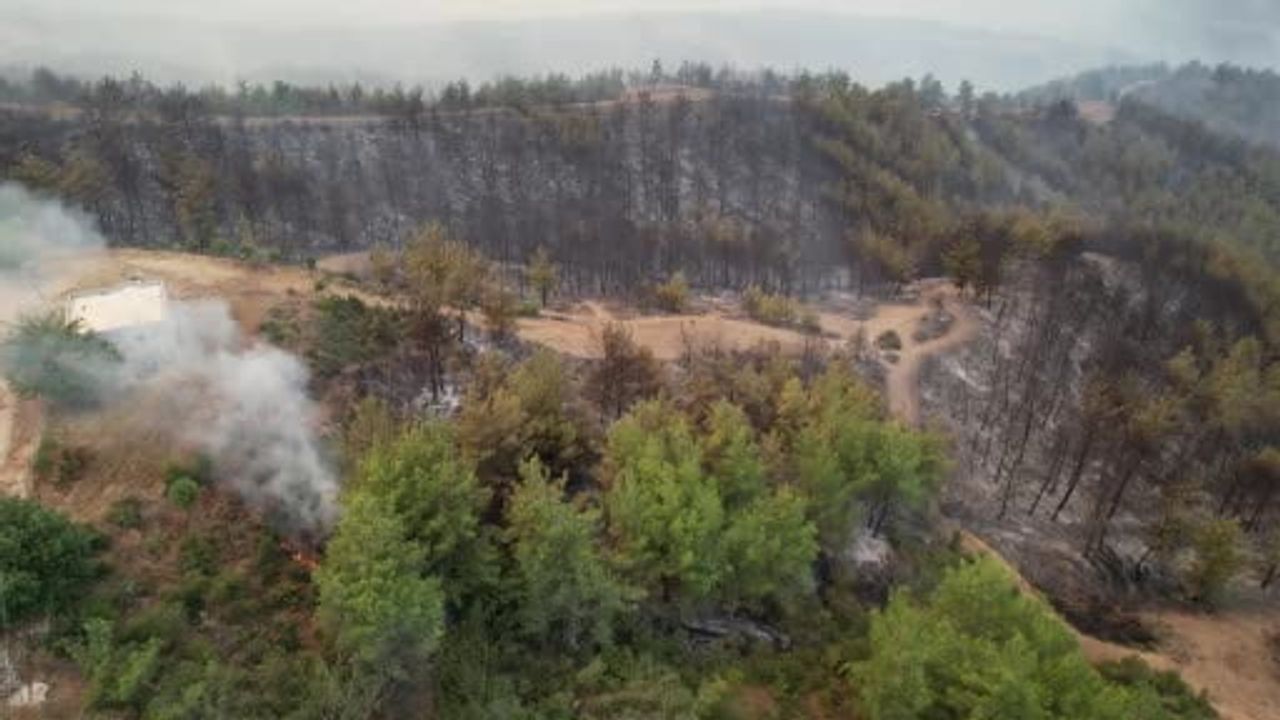 Kozan'da orman yangını sonrası tahribat havadan görüntülendi