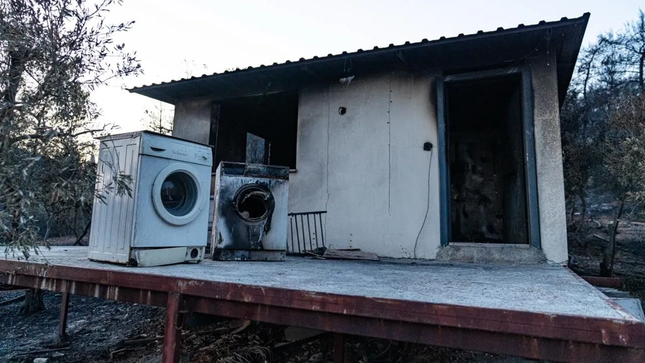 Kül olan zeytinlikler ve evleri onarma: Foça Mahallesi'nde yaşamı yeniden kurma mücadelesi