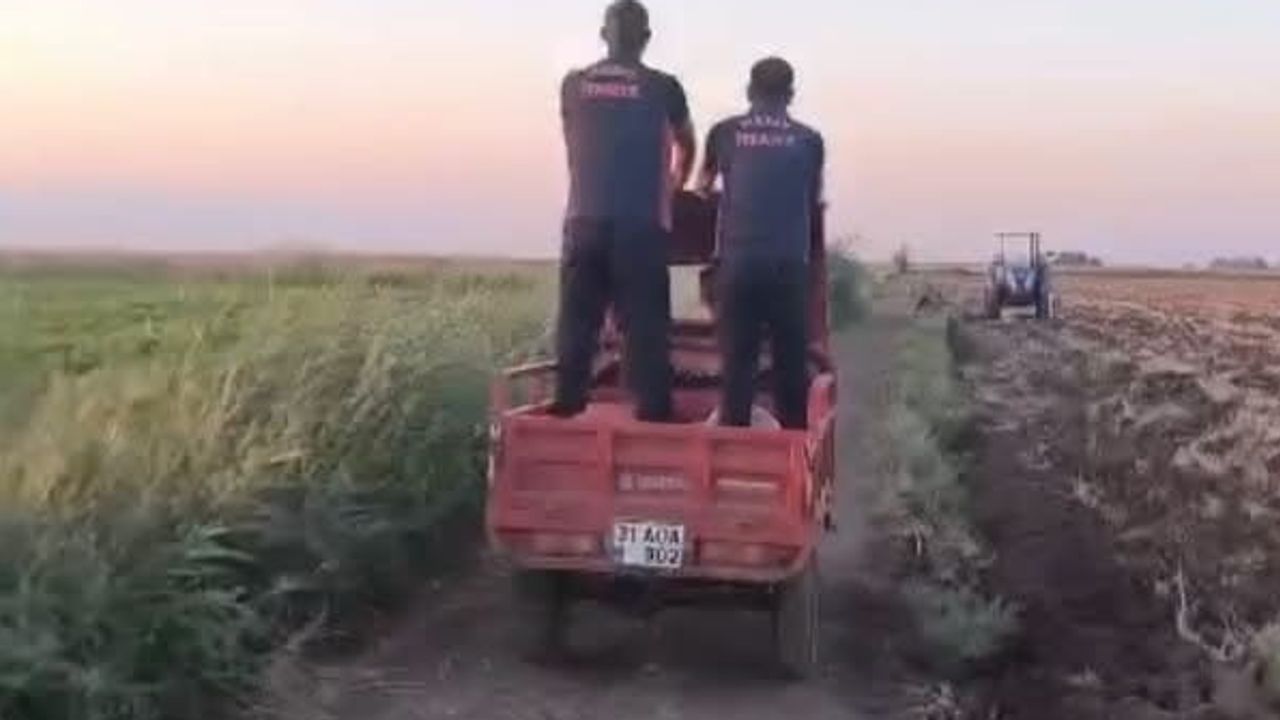 Kuletepe'de büyükbaşın kurtuluşu: itfaiye ekipleri hayvanı bataklıktan çıkardı