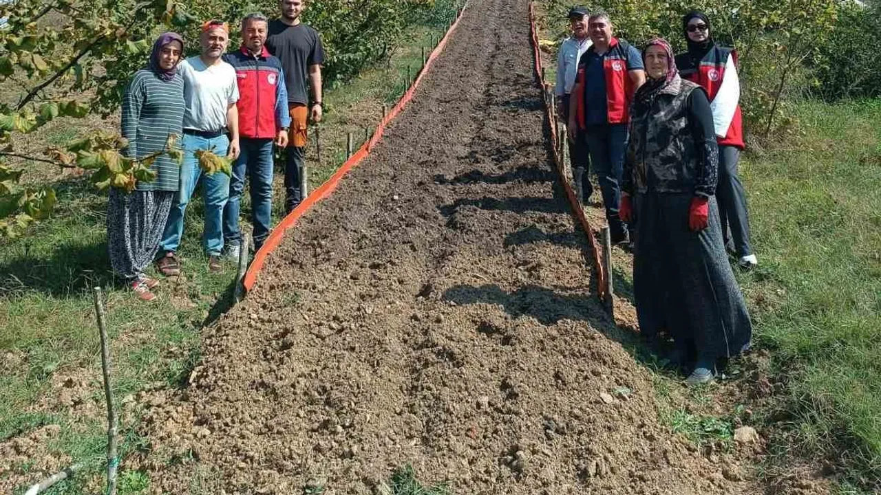 Kumluca'da salep dikimi gerçekleşti, üreticilere uygulamalı bilgilendirme yapıldı