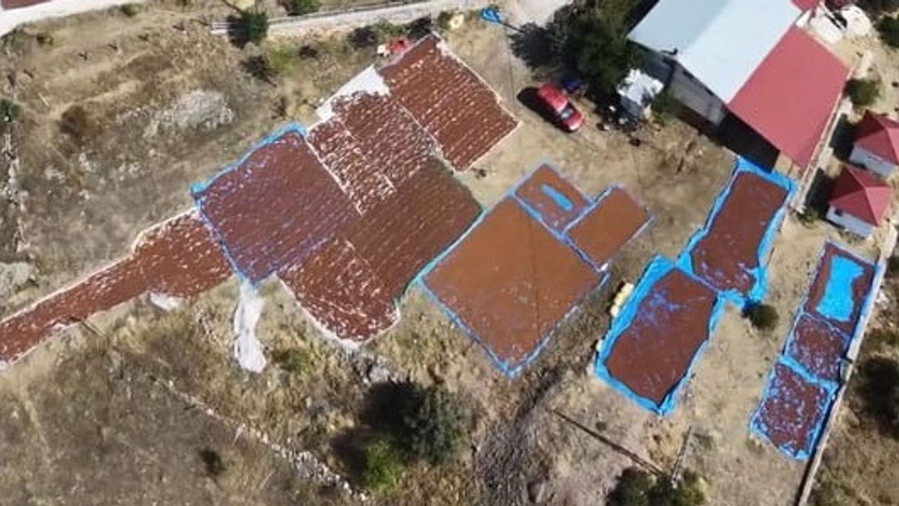 Kurutma için sahilden içe: fındık üreticilerinin güneş yolculuğu
