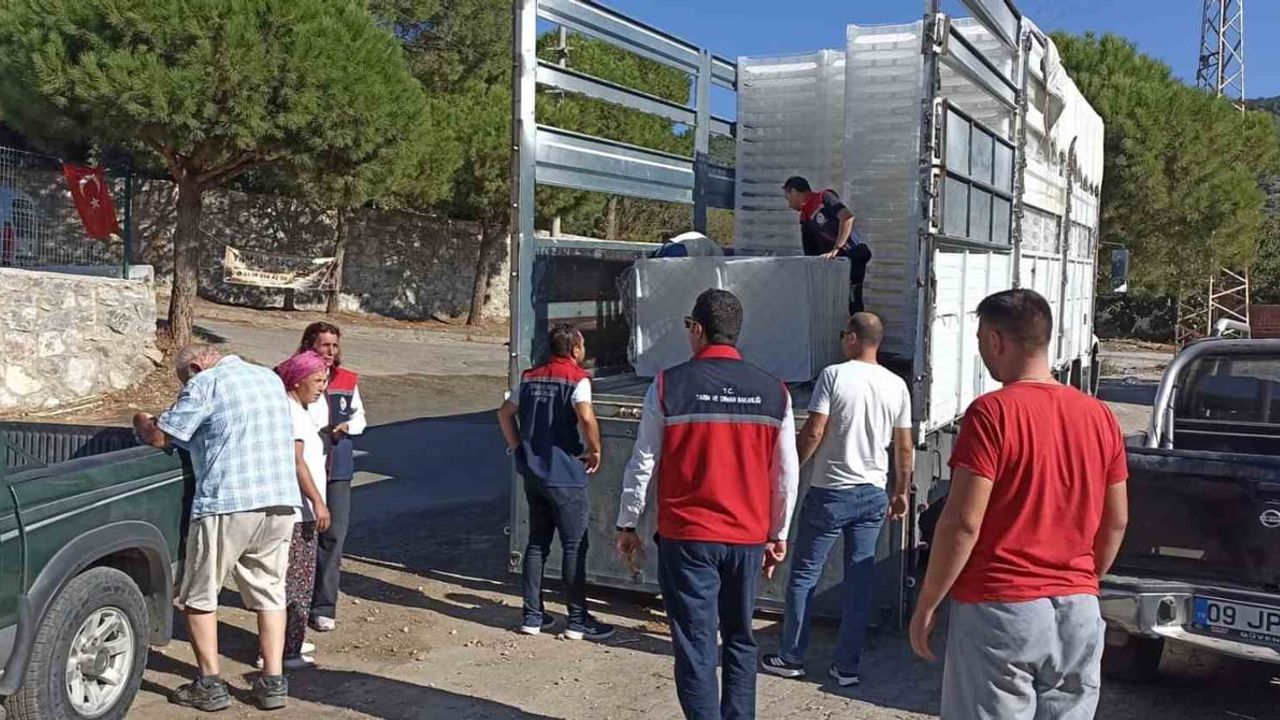 Kurutmalık incirde hijyen yatırımı: Söke üreticilerine yüzde 50 hibeli kerevet