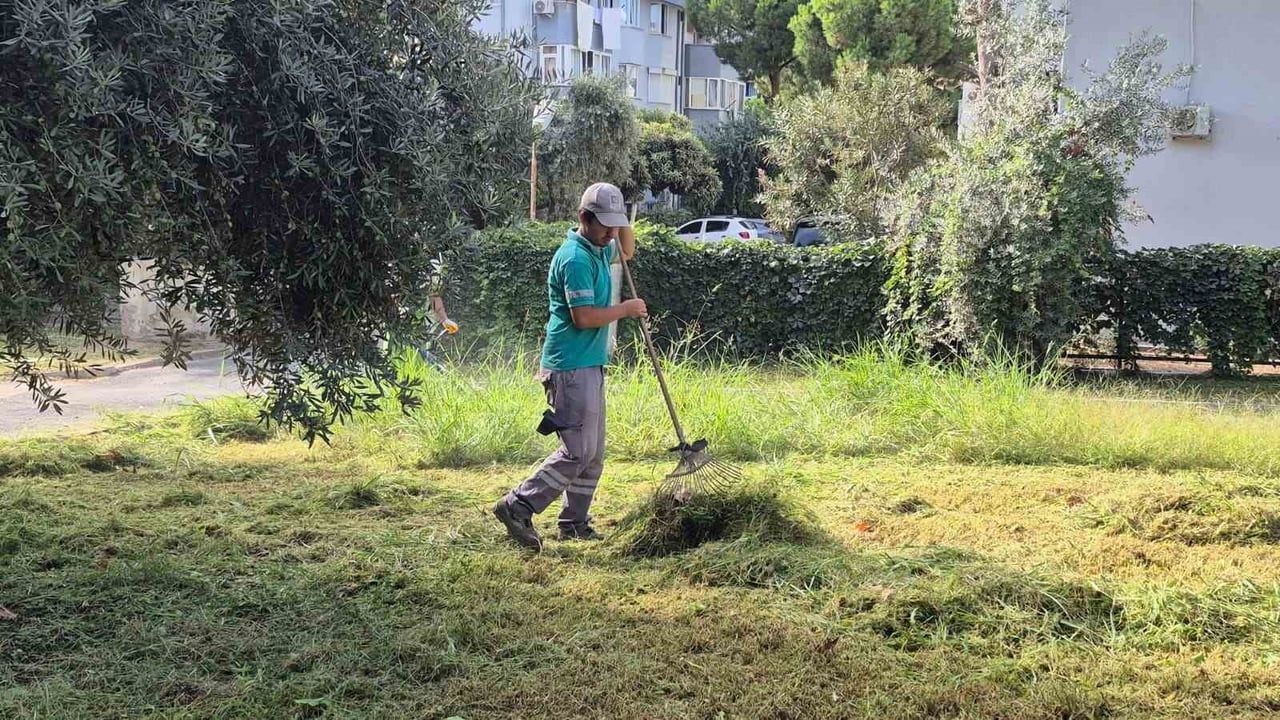 Kuşadası'nda kent estetiğine bakım: parklar, refüjler ve kavşaklar elden geçiriliyor