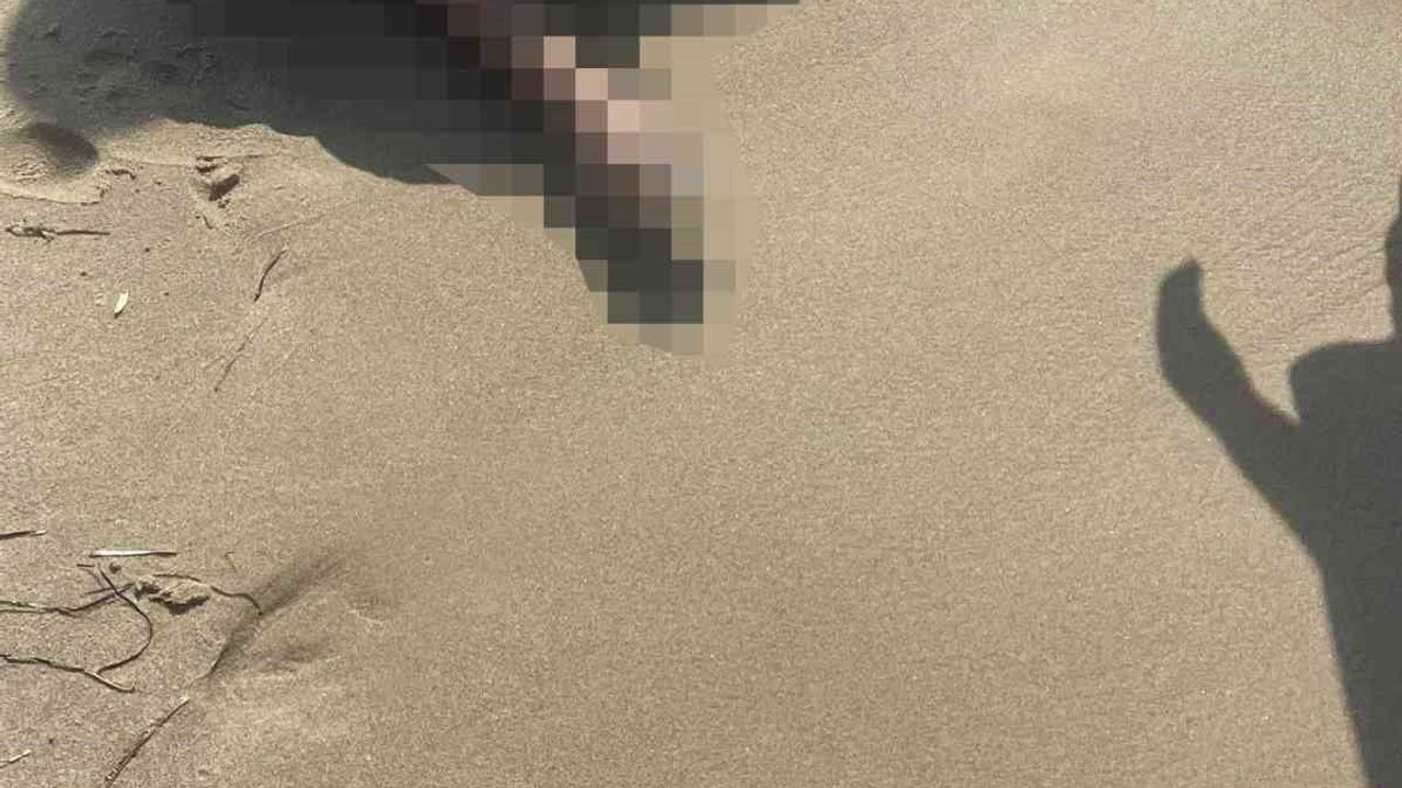 Kuşadası'nda sahilde bulunan cenaze sisam dönüşüyle ilişkilendiriliyor