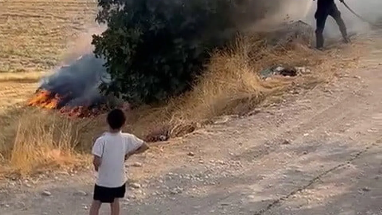Kuştepe'de bahçeyi saran alevler ağaçlara zarar verdi