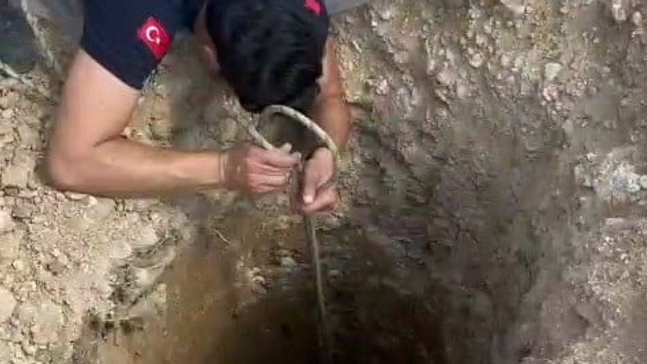 Kuyuya düşen sahipsiz köpek itfaiyenin halatlı müdahalesiyle kurtarıldı