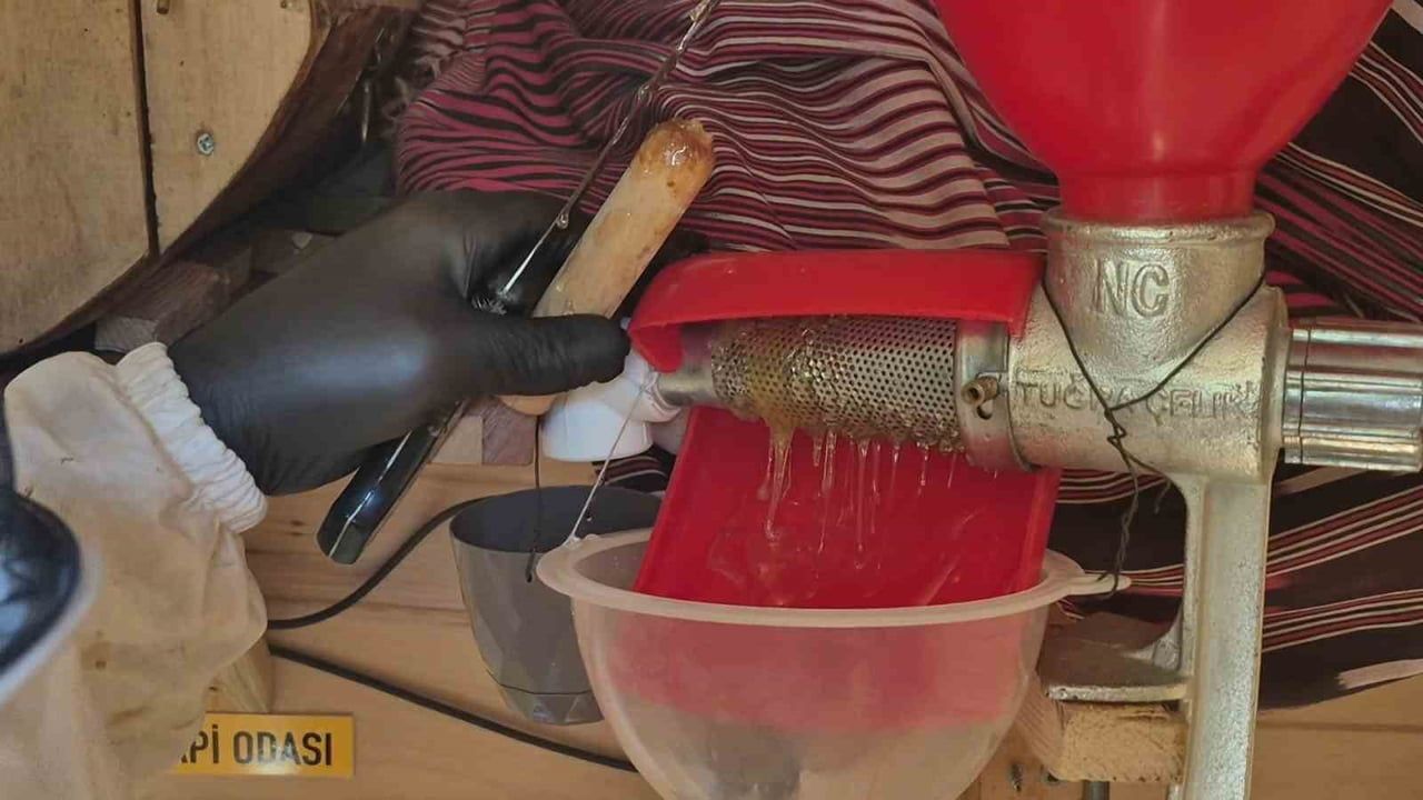 Laz bakkalın dev yuvarlak kovanı Kadıköy'ü bal ile buluşturuyor
