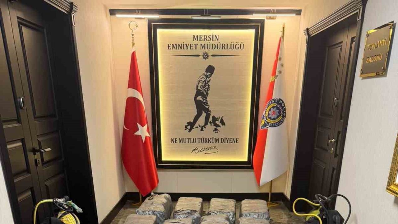 Limanda gizlenen kargoda 350 kilogram kokain bulundu, operasyon Mersin'de yürütüldü