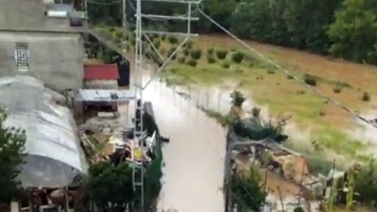 Mahalle sular altında: Sakarya'da nehir taşkını günlük yaşamı vurdu
