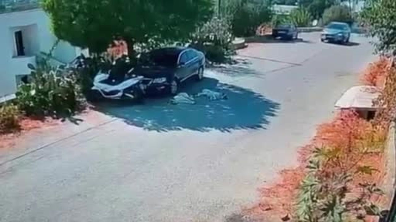 Mahalleli kamerada gördü: Bodrum'da iki köpeğin üzerinden geçen araç aranıyor