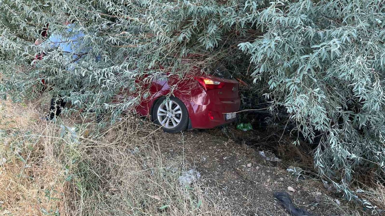 Malatya-Adıyaman karayolunda tek araçlı kaza: bir kişi hafif yaralandı