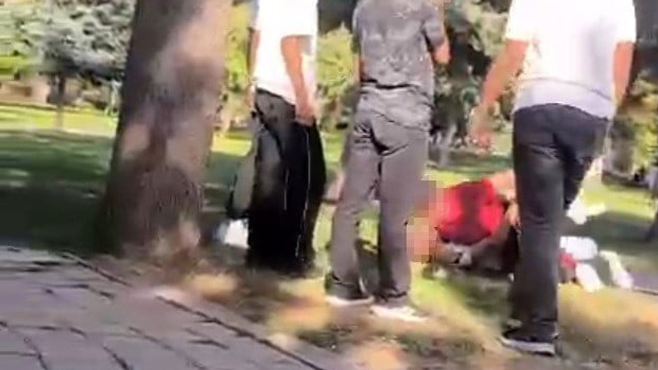 Malatya'da parktaki şiddet: 17 yaşındaki çocuk darp edildi, üç çocuk gözaltına alındı