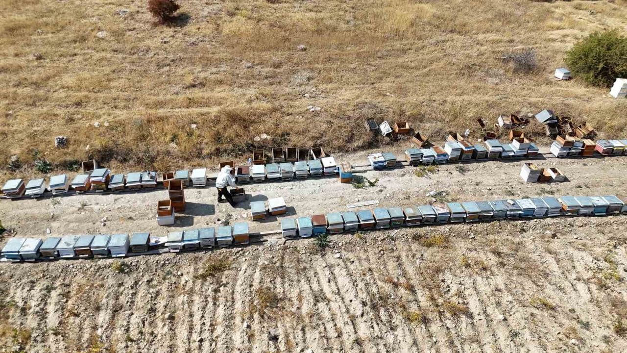 Malatya yaylalarının kırmızı balı kilogramı bin 500 liradan kısa sürede tükendi