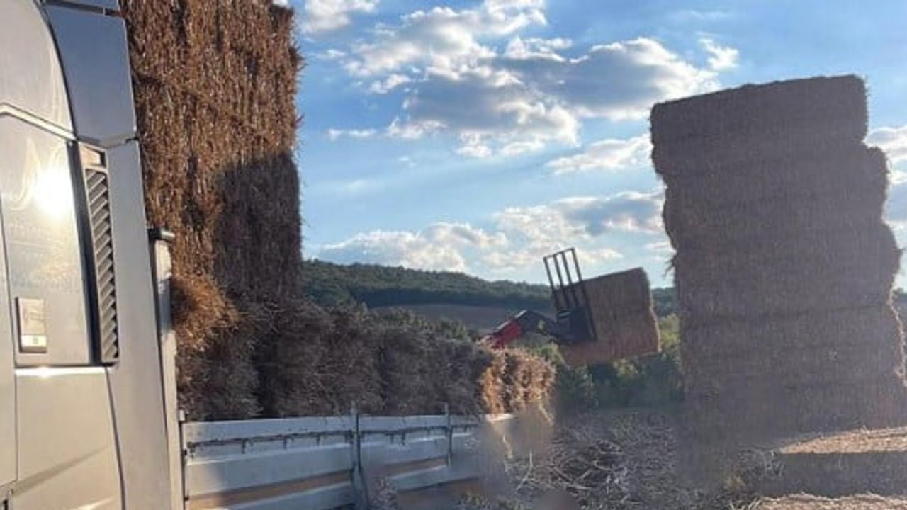 Malkara'da yükleme sırasında devrilen saman balyaları bir işçinin ölümüne yol açtı