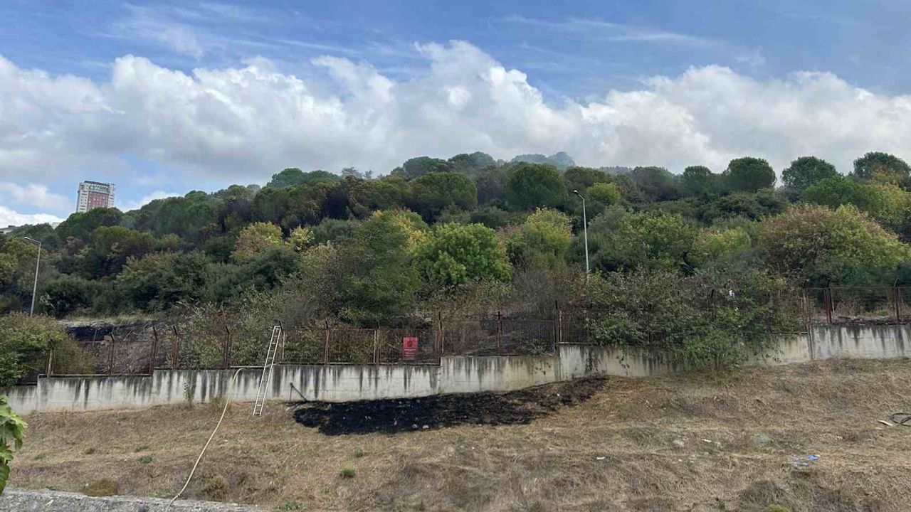 Maltepe'de yol kenarındaki yangın kışla sınırındaki ormana sıçradı
