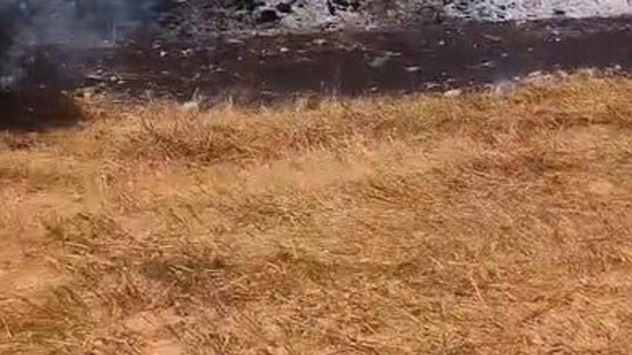 Manavgat Karakaya'da tarım arazisinden zeytinliğe sıçrayan yangın 100 ağacı etkiledi