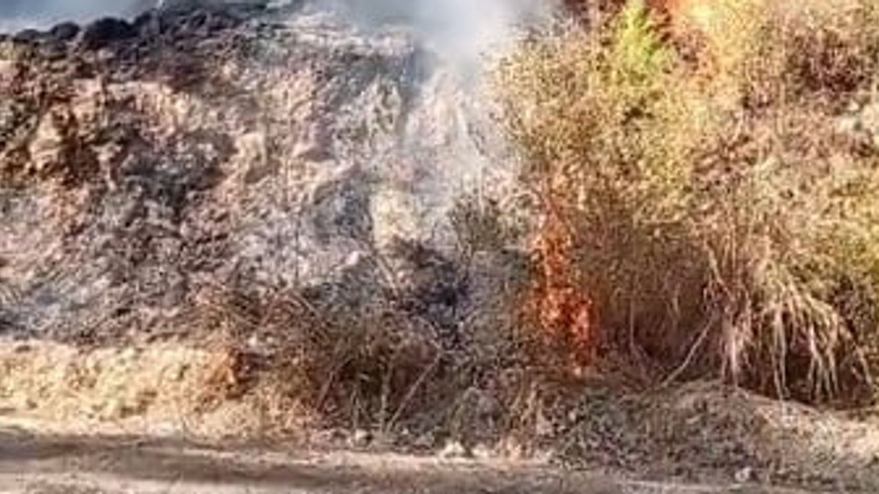 Manavgat'ta Örenşehir'de çıkan yangına çok yönlü müdahale sürüyor