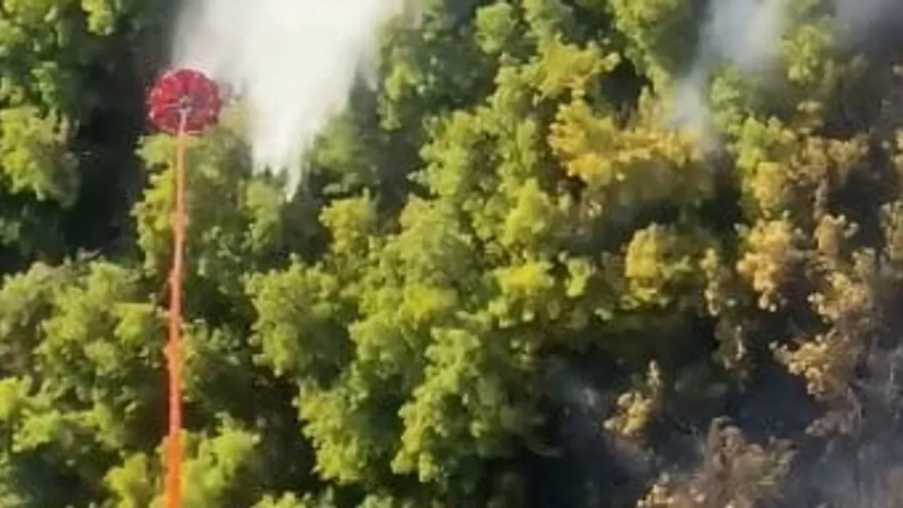 Manavgat'ta orman yangını kontrol altına alındı, soğutma çalışmaları sürüyor