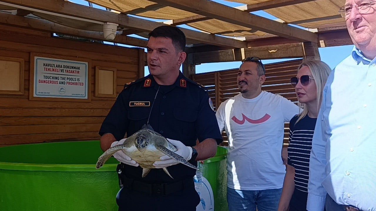 Manavgat'tan denize açılan iki yeşil kaplumbağanın rotası uyduyla izlenecek