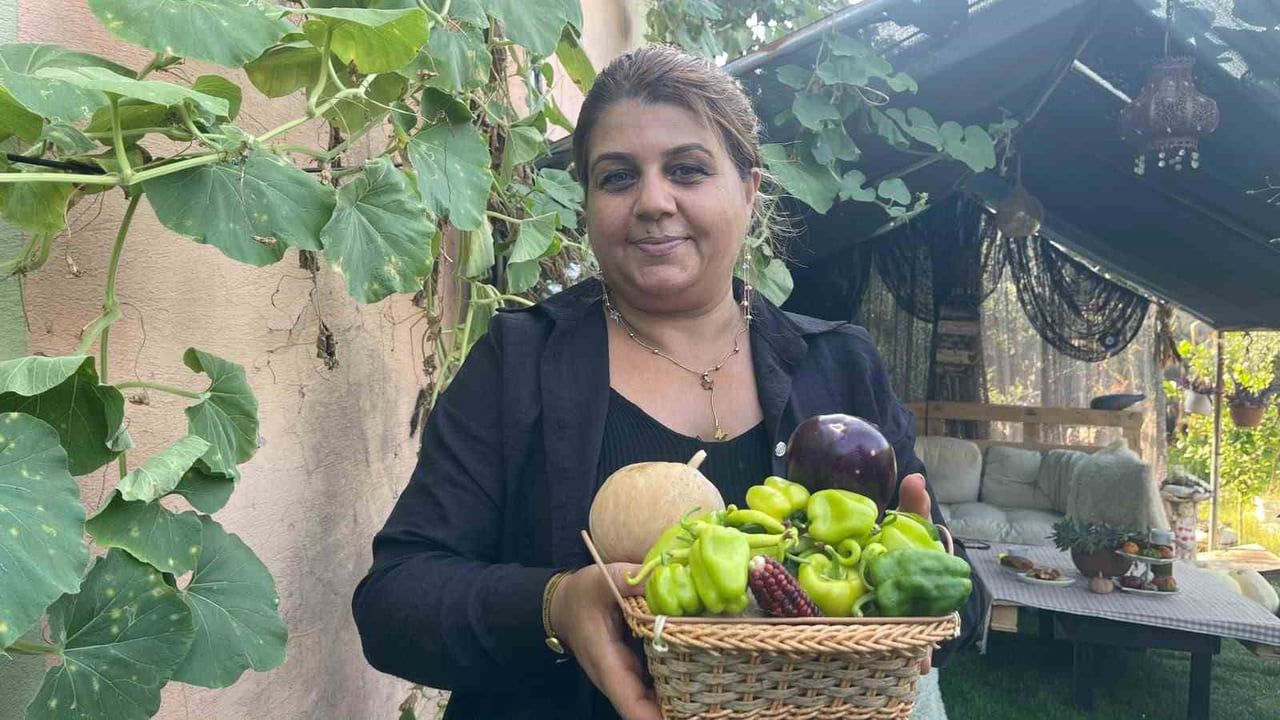 Mardin'de tattığı domatesin tadı Osmaniye'de ata tohumuna dönüştü