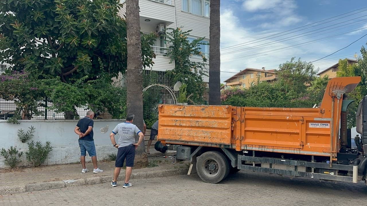 Marmaris'te ihbar üzerine açılan dairede bir kamyon çöp ve yaklaşık 30 kedi çıktı