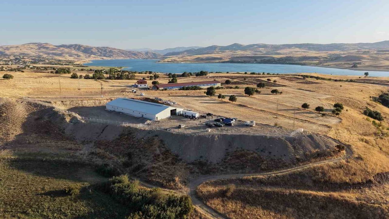 Mazgirt'te kırsal dönüşüm: yüzde 50 hibe hayvancılığı büyüttü