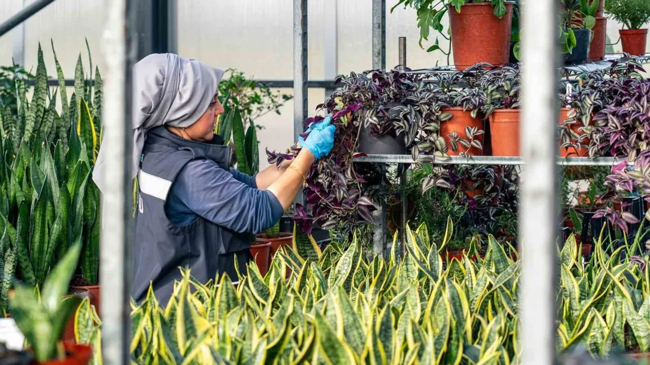 Mega hubın enerji hamlesi: İGA İstanbul Havalimanı yenilenebilirde tam kapasiteye yürüdü