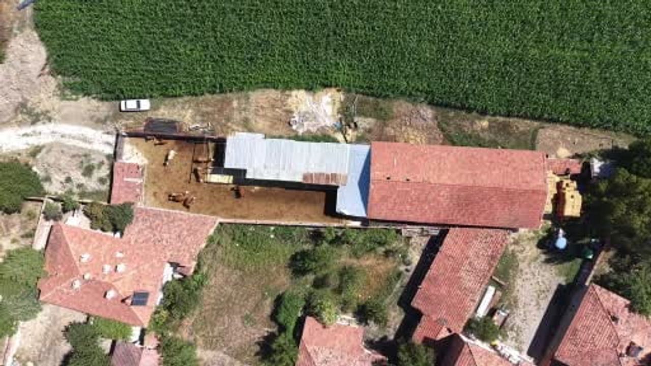 Memuriyeti bırakıp köyde çiftlik kurdu: çocukluk hayalini hayvancılıkla sürdürüyor