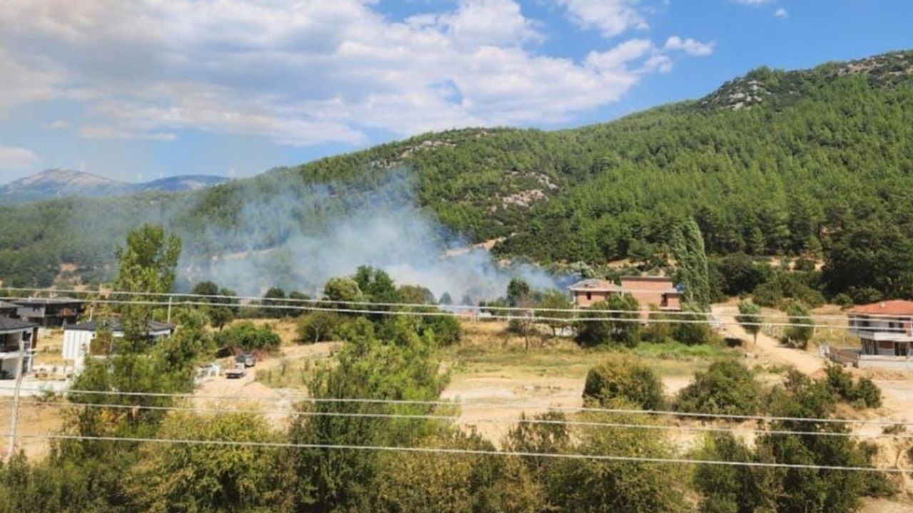 Menteşe Yeniköy'de otluk ve ağaçlık alanda yangınla mücadele sürüyor