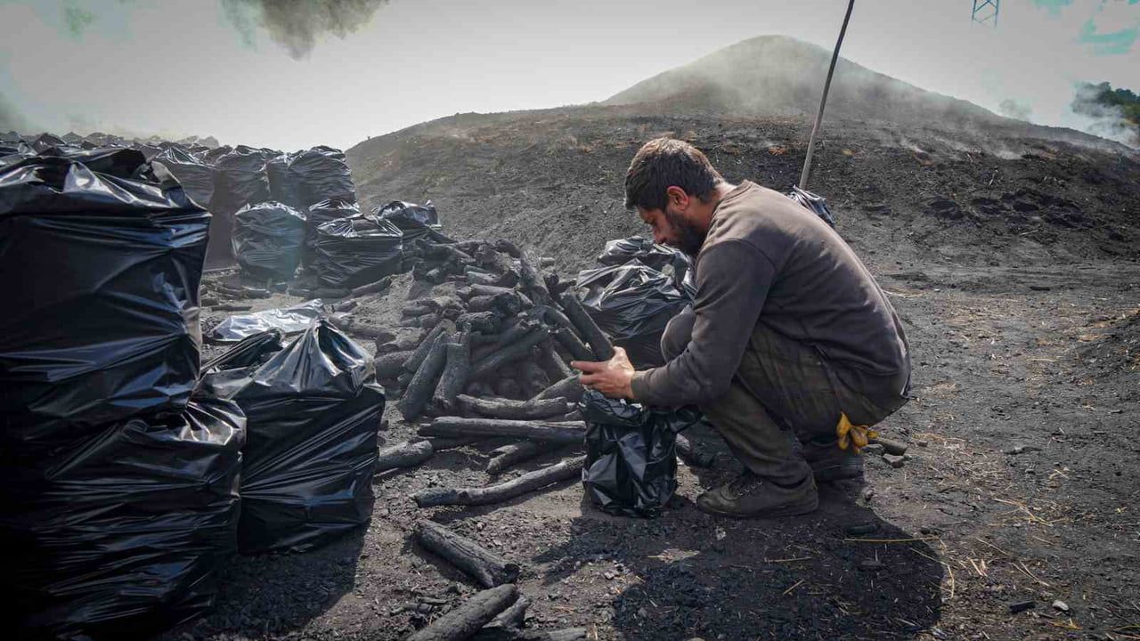 Mevsimlik işçilerin 15 günlük ateş sınavı: meşeden mangal kömürü
