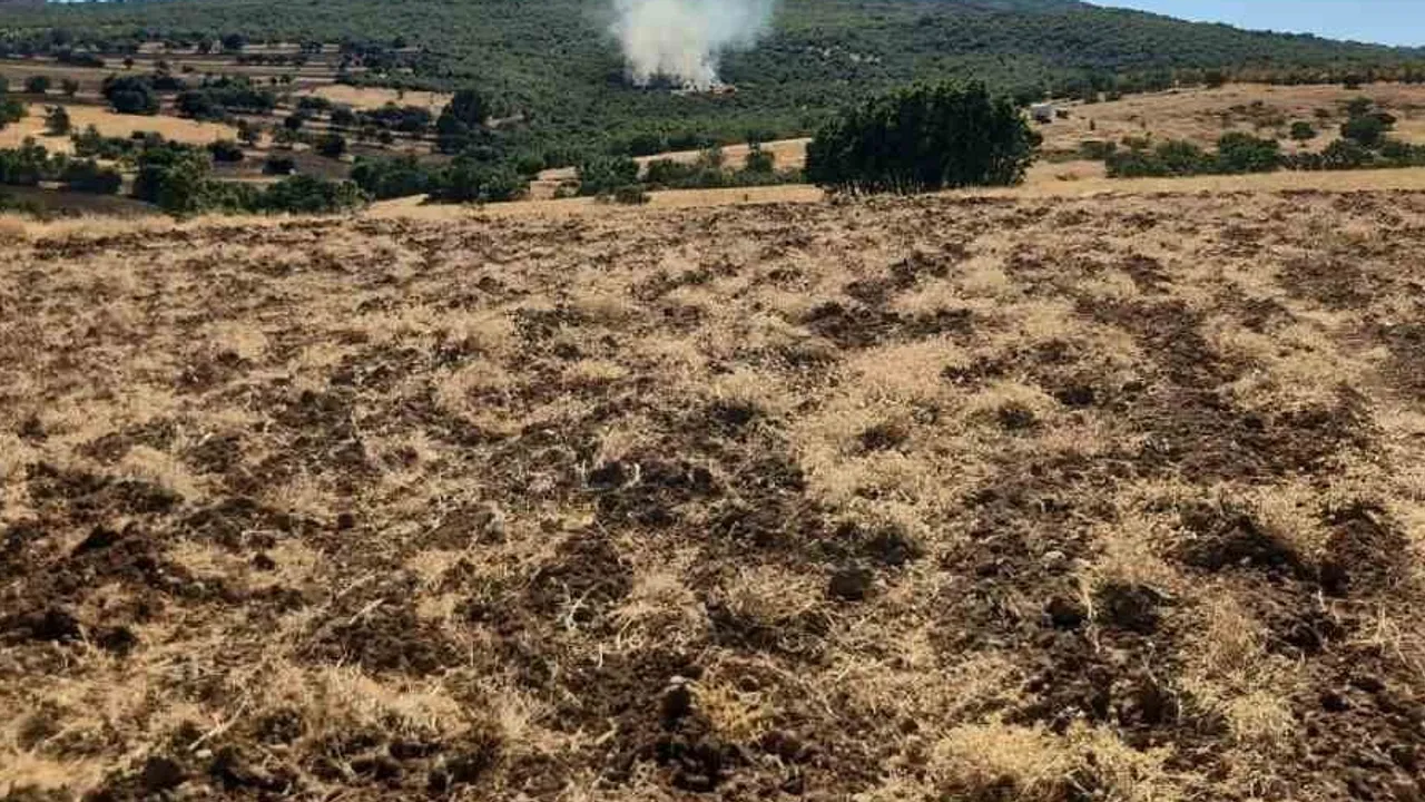 Mihalıççık'ta yayla yakınlarında orman yangını: helikopterler ve kara ekipleri müdahale ediyor