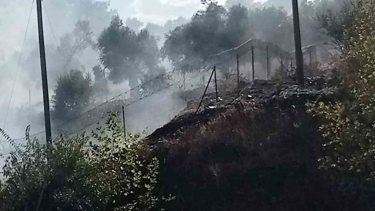 Milas-Söke karayolunda otluk yangını hızlı müdahaleyle söndürüldü