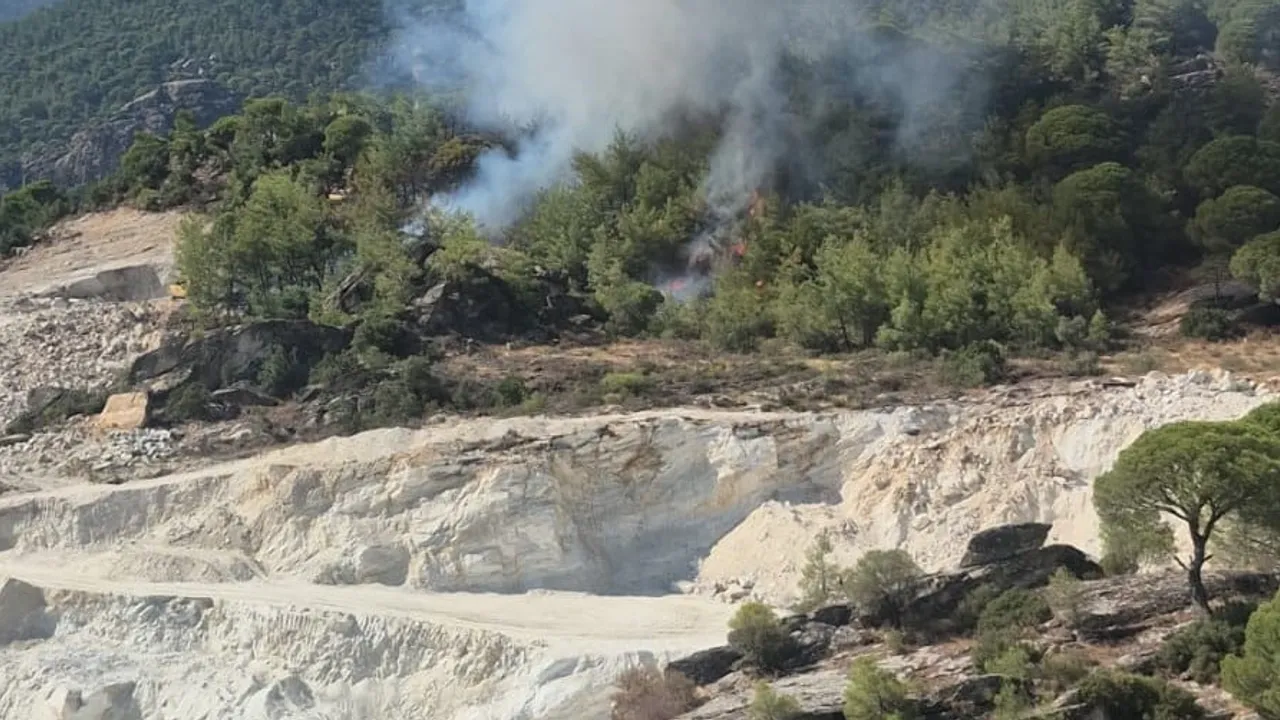 Milas'ta orman yangınına müdahale sürüyor