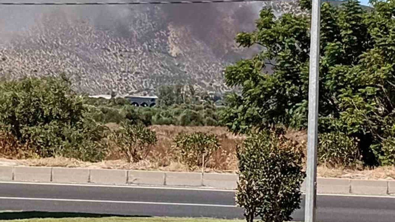 Milas Yaşyer'de sazlık ve otluk yangını ekiplerin müdahalesiyle kontrol altına alındı