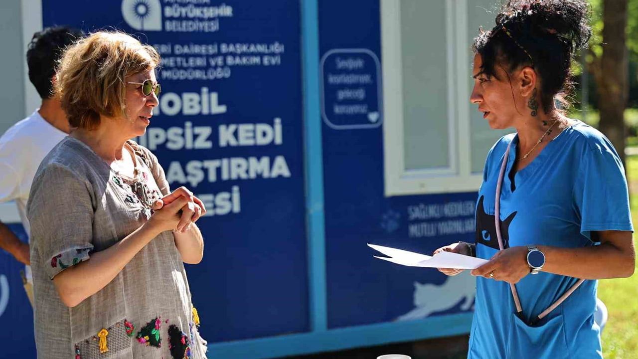 Mobil kısırlaştırma ünitesi Karaalioğlu Parkı'nda sahipsiz kedilere destek