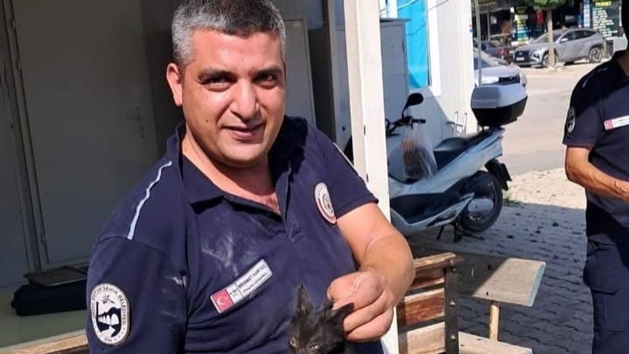 Motor kaputlarının gizli yolcuları: Antakya ve İskenderun'da kediler itfaiye tarafından kurtarıldı
