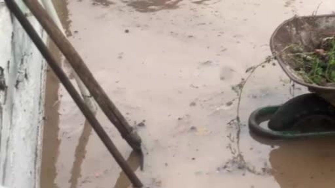 Mudanya'da aniden bastıran sağanak ev ve bahçeleri suya boğdu